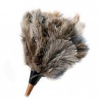 Erotic Toys for Couples