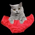 How To Eat Pussy Cunnilingus Tips