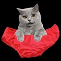 How To Eat Pussy Cunnilingus Tips